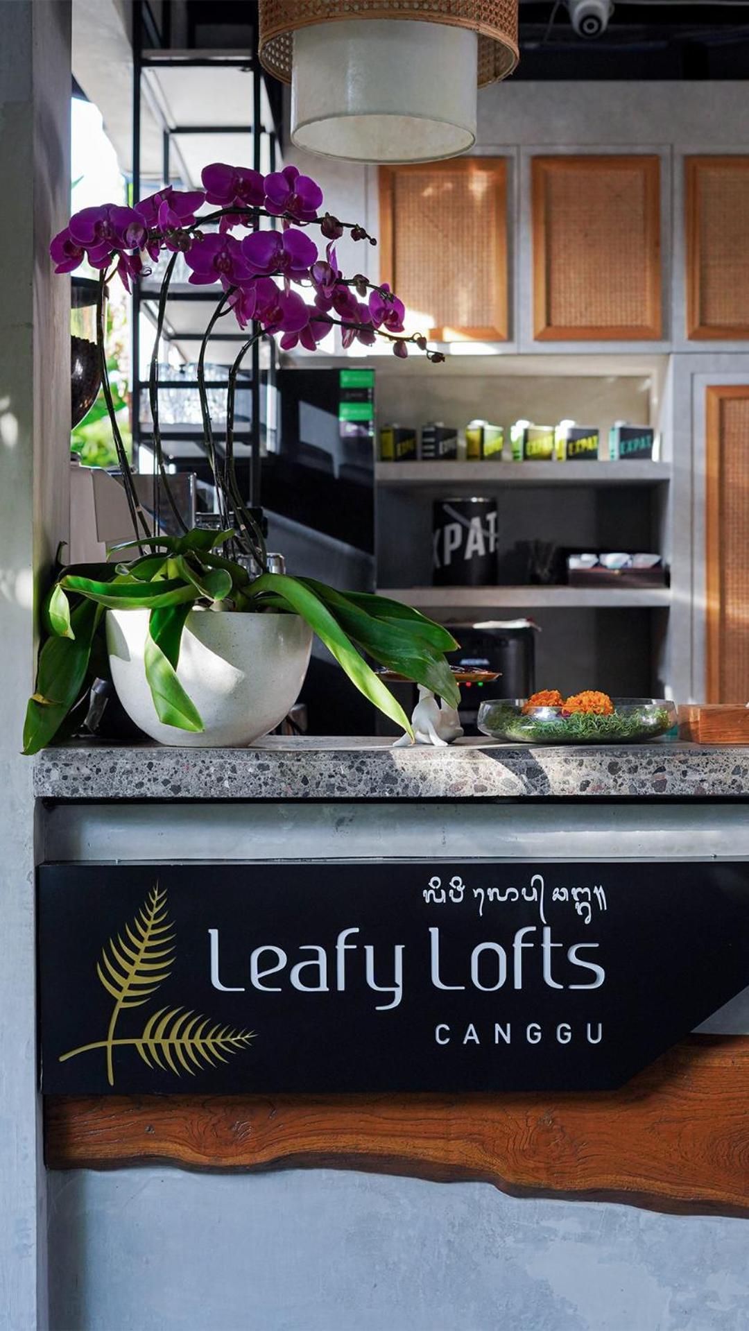 Apartment Leafy Lofts